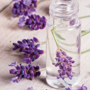 LEVENDULAVÍZ 100 ml