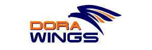 DORA WINGS