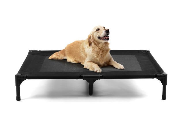 Image of XL Pets Trampoline Bed