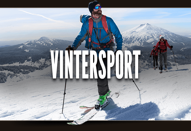 Vintersport