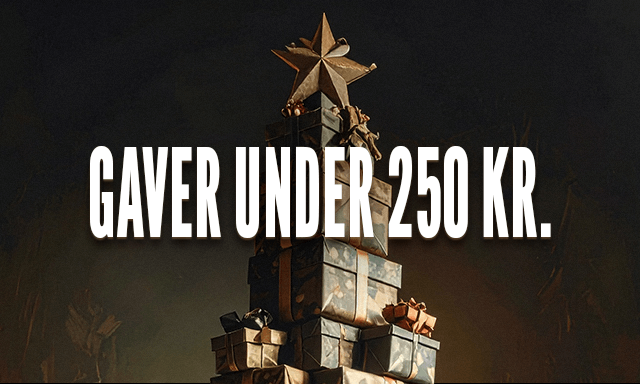 Gaver under 250 kr.