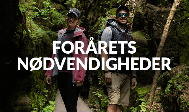 Forårets Nødvendigheder