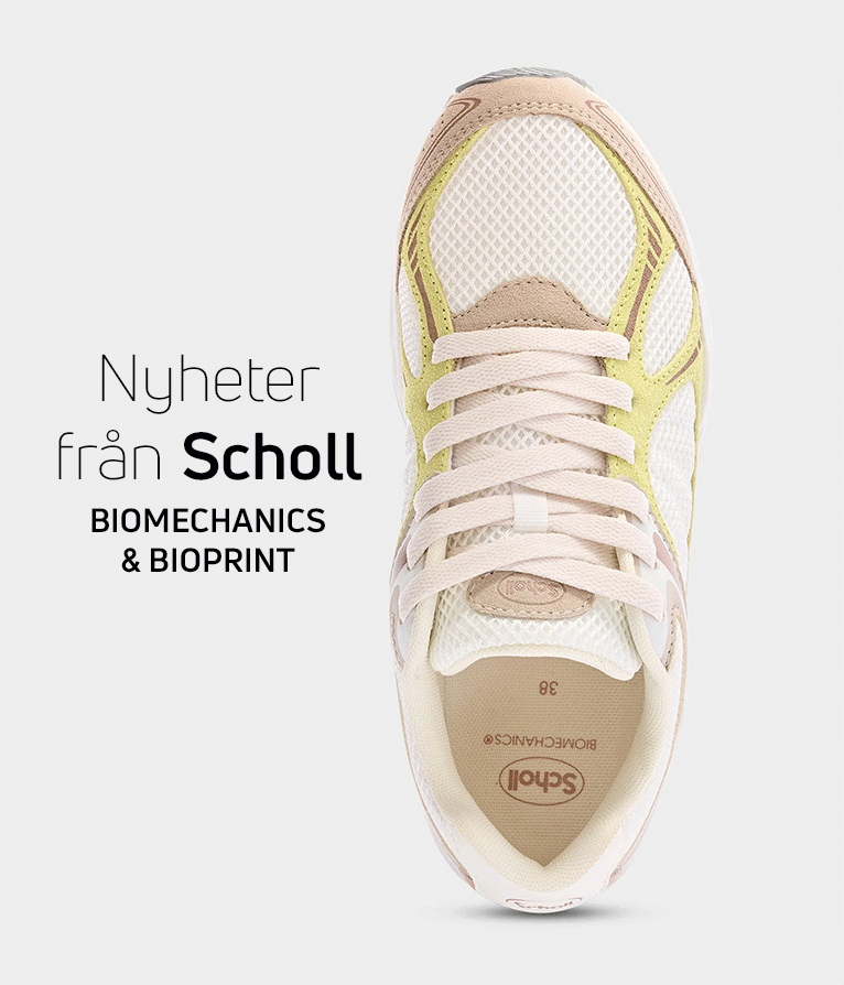 Nyheter från Scholl - Biomechanics och Bioprint