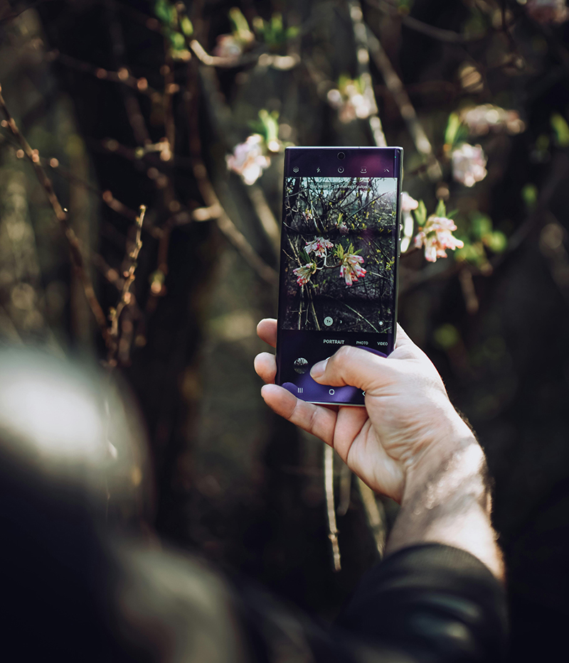 Ta med mobilen ut och fånga naturens färger!