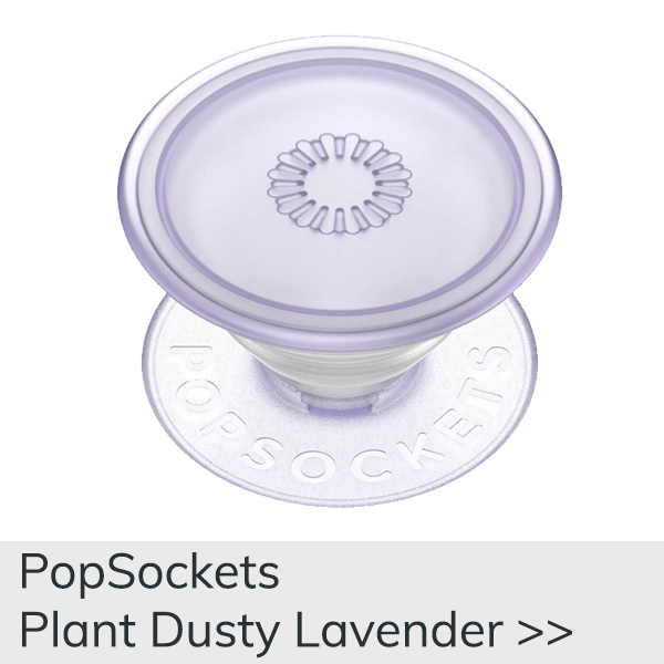 Plant Dusty Lavender