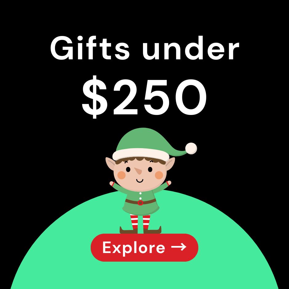 Gifts under $250