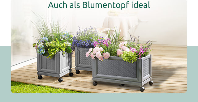 Auch als Blumentopf ideal