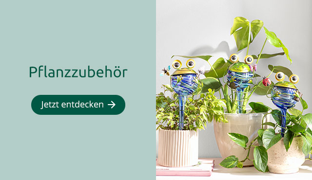 Pflanzzubehör