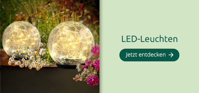 LED-Leuchten