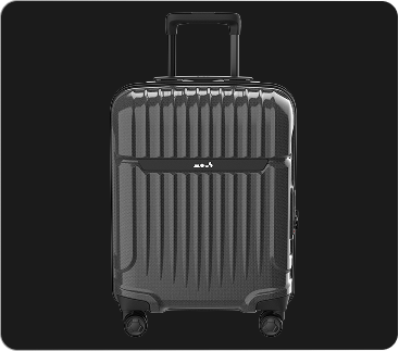 Luggage