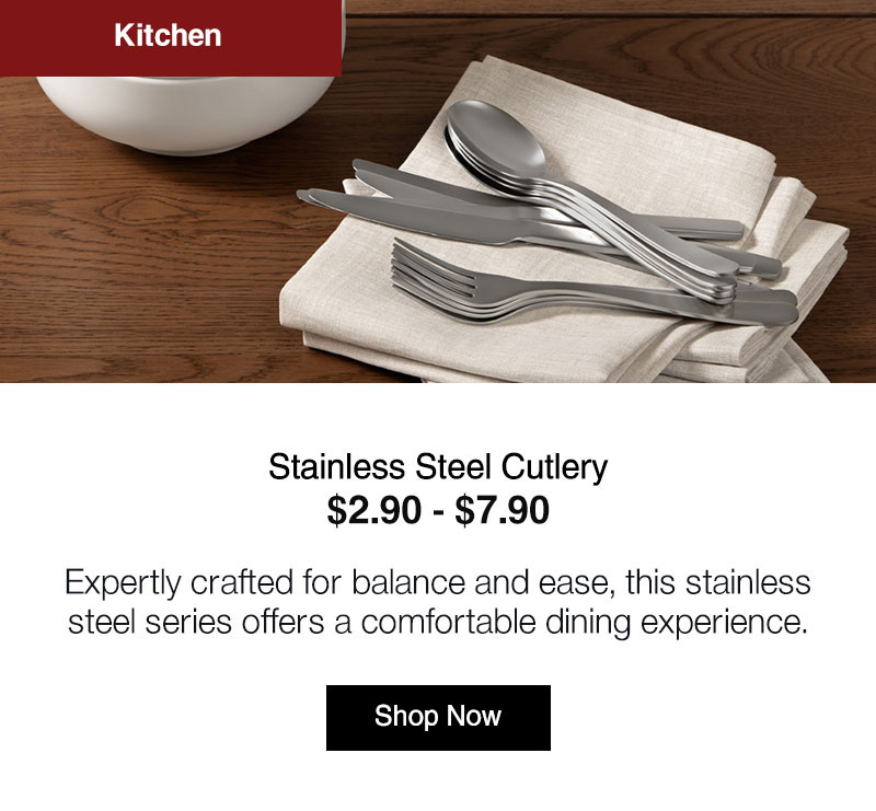 Shop Stainless Steel Cutlery Series