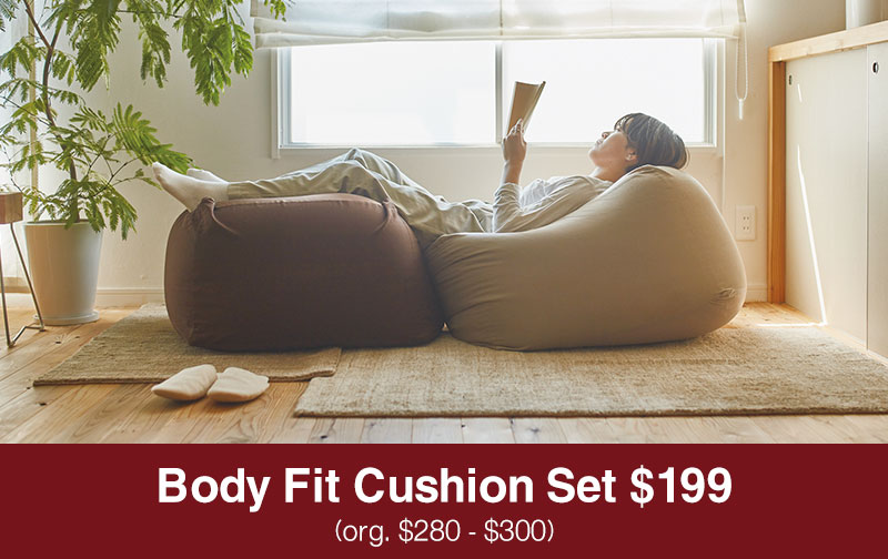 Shop Body Fit Cushion Set $199 (org. $280 - $300)