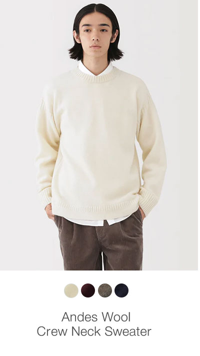  Shop Men’s Andes Wool Crew Neck Sweater 