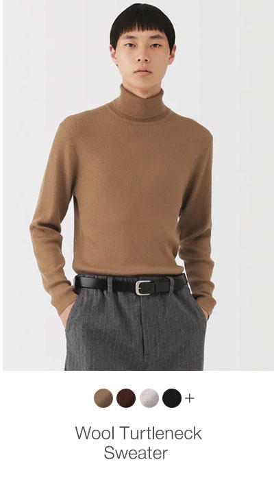 Shop Men’s Wool Turtleneck Sweater 