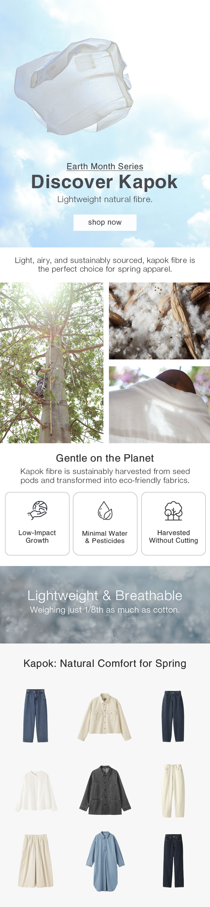 Shop Kapok: Lightweight Natural Fibre