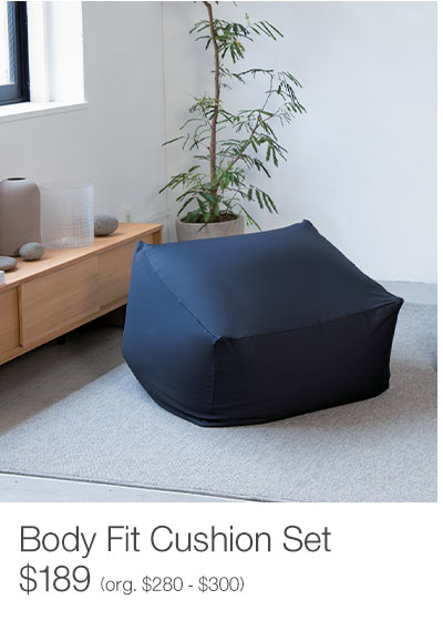 Shop Body Fit Cushion Set