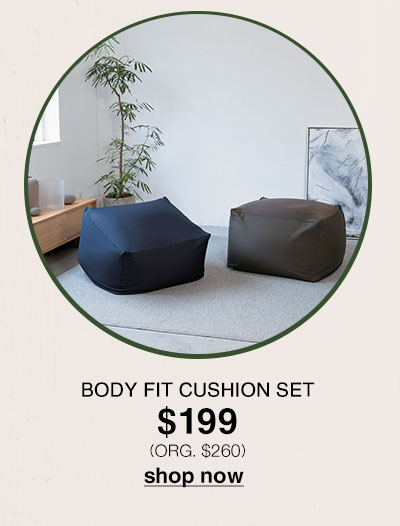 Shop Body Fit Cushion Set $199