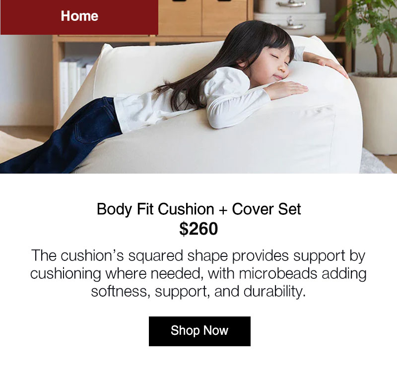 Shop Body Fit Cushion and Cover Set