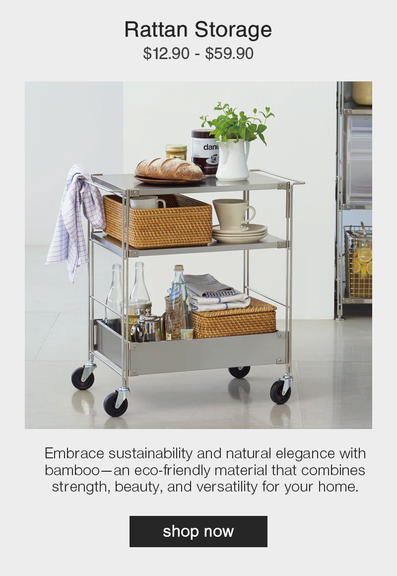 Shop Rattan Storage