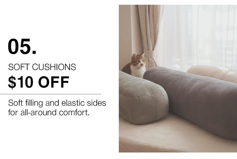 Shop $10 Off Soft Cushions