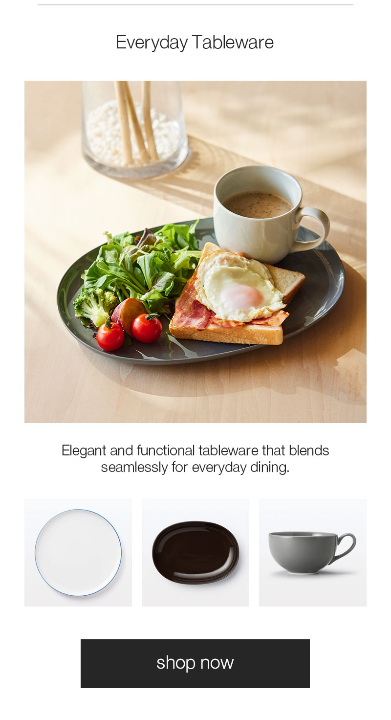 Shop Everyday Tableware