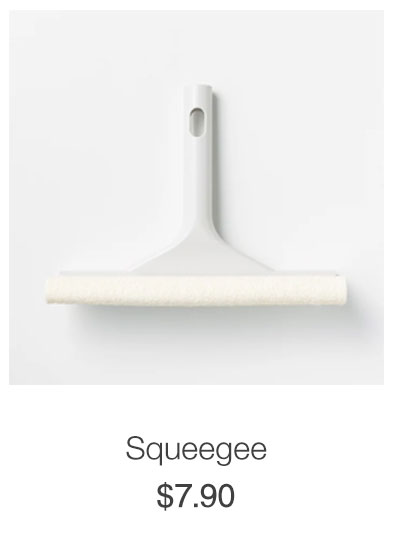 Shop Cleaning System Squeegee