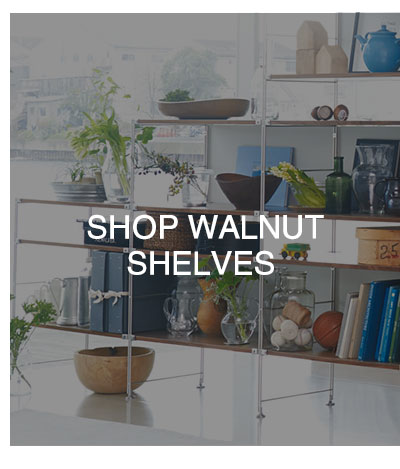 Shop Walnut Shelves