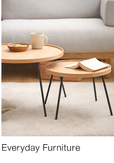 Shop Everyday Furniture