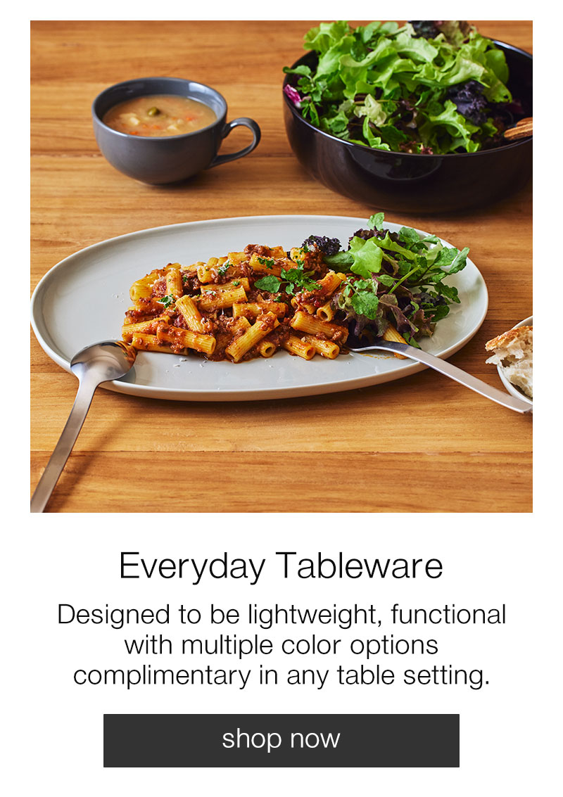 Shop Everyday Tableware