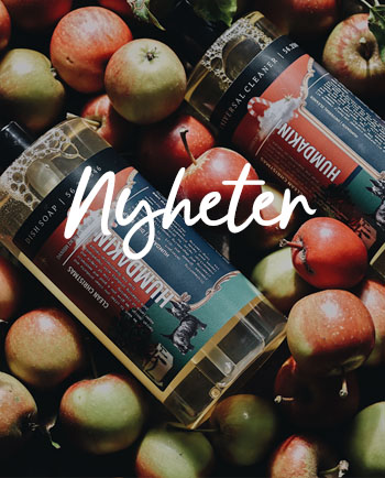 Nyheter hos Multitrend