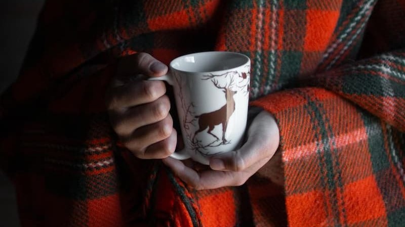 Wik & Walsøe Alveskog