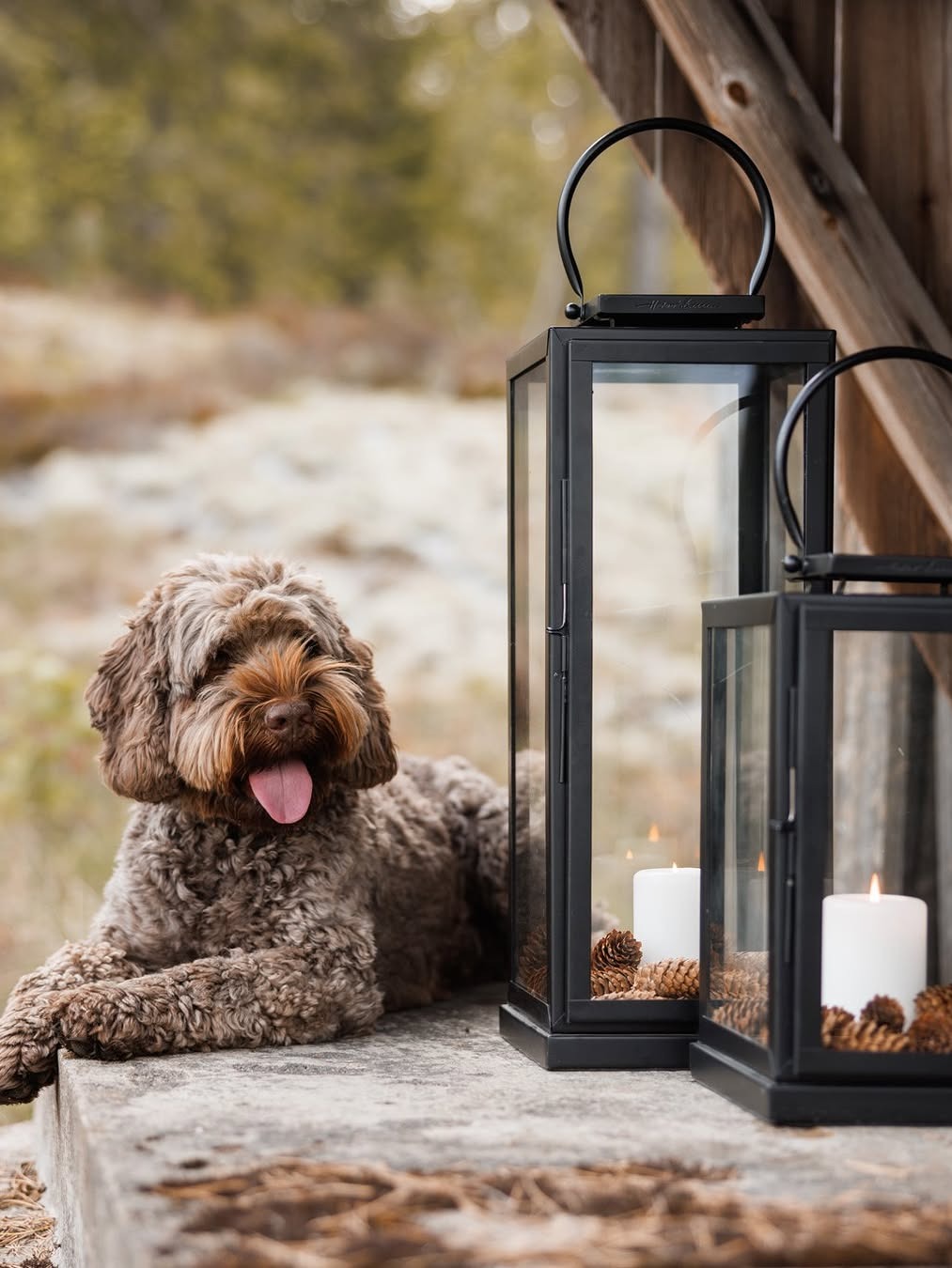 Lanterner fra Halvor Bakke