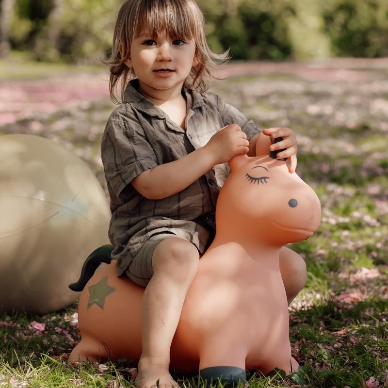 Find That Hippo Hoppedyr Luna Enhjørning