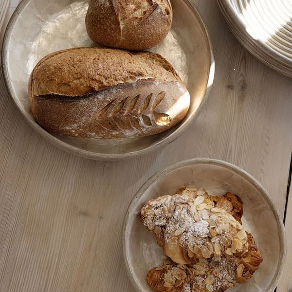 Halvor Bakke-nyheter