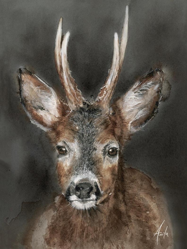 Lagertømming og outlet hos Multitrend.no