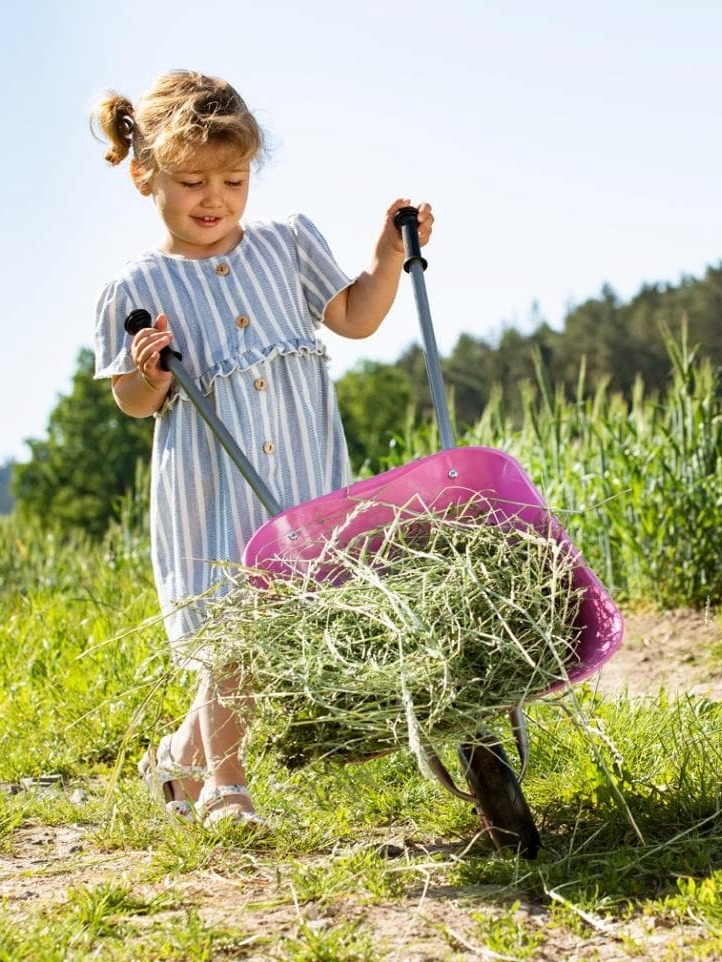 Rolly Toys trillebår rosa