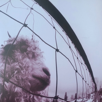 (VINILO) PEARL JAM - VS. (30TH ANNIVERSARY EDITION)