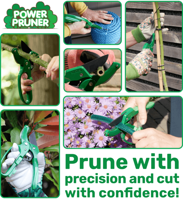 Power Pruner