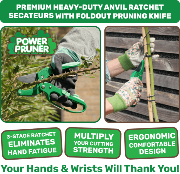 Power Pruner