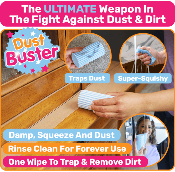 Dust Buster