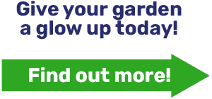 Give your garden a glow up today!