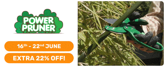 Discovery of the Week