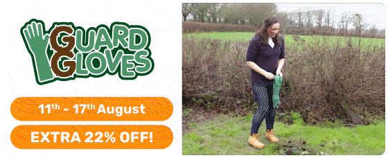 Discovery of the Week