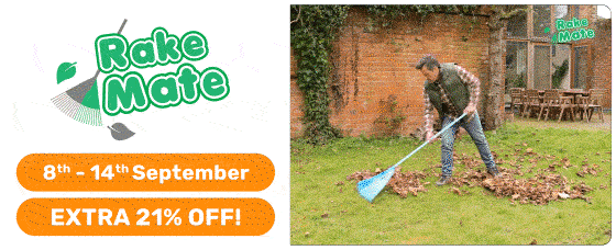 Discovery of the Week