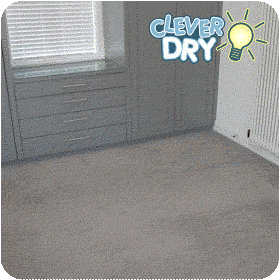 CleverDry