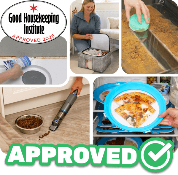 Must Haves you may have missed