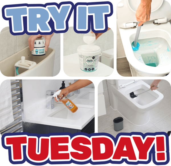 Must Haves you may have missed