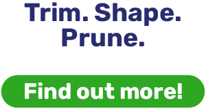 Trim. Shape. Prune.