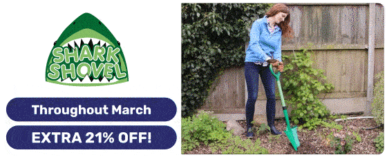 Discovery of the Month