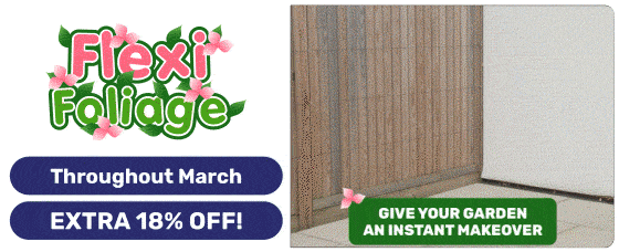 Discovery of the Month